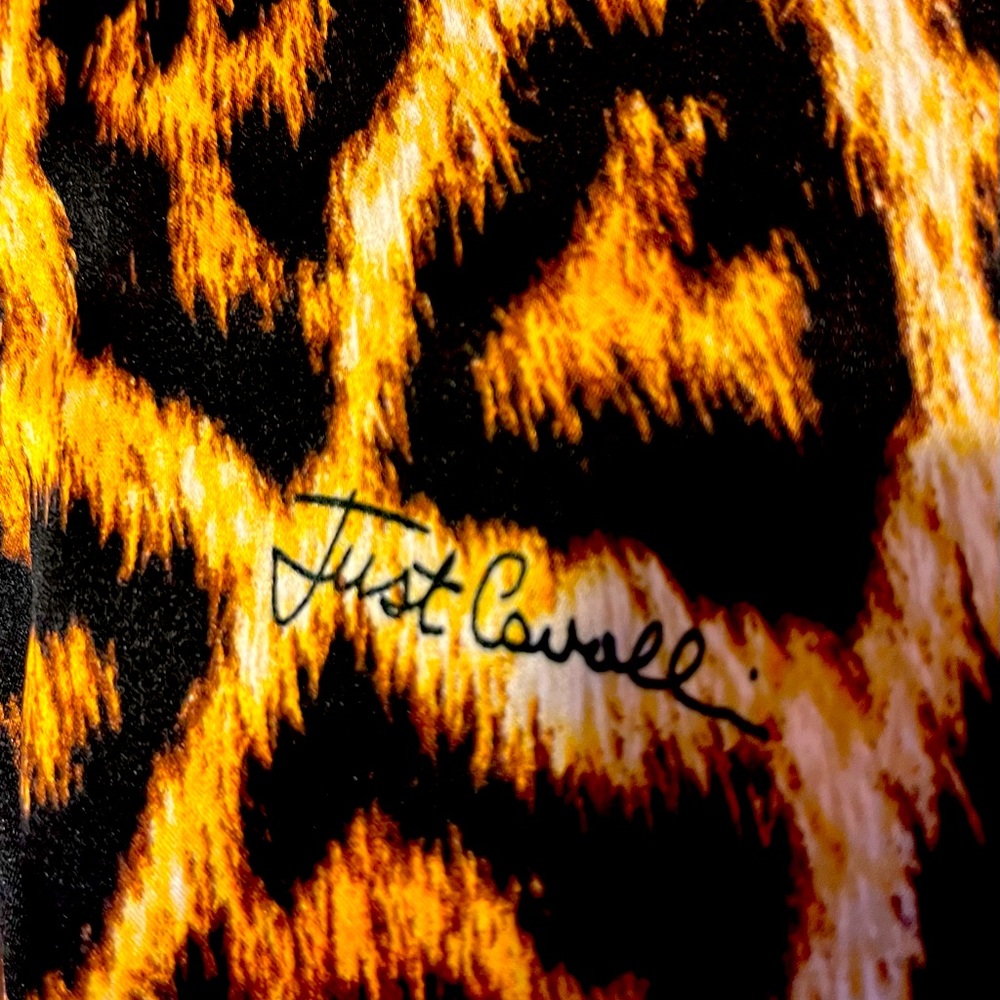 Just Cavali Leopard Print Silk Dress